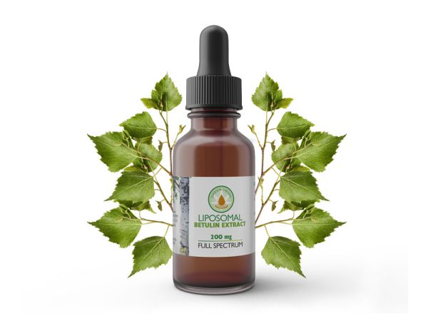Betulina | www.greenhemp.pl
