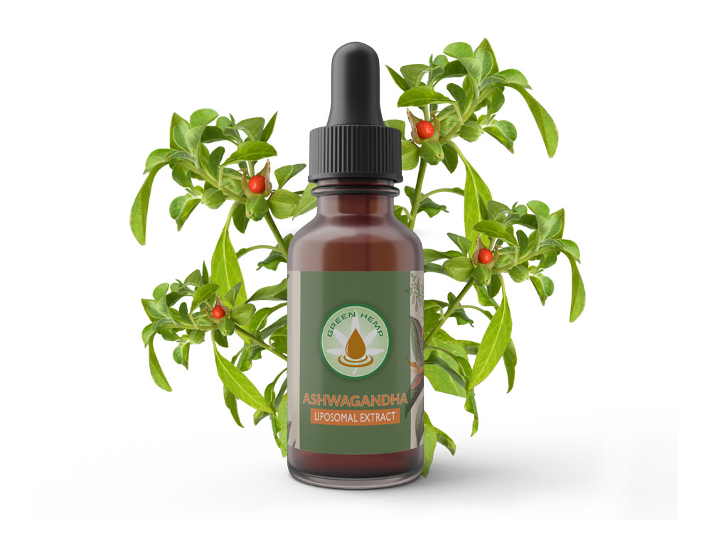 Ashwagandha Ashwagandha | www.greenhemp.pl