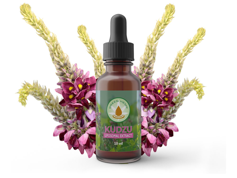 Kudzu-10ml Kudzu 10ml | www.greenhemp.pl