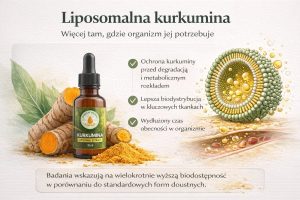 liposomy biodostępność kurkumina – technologia liposomalna