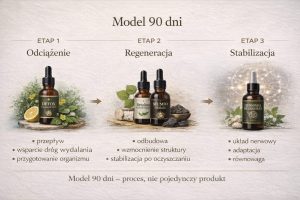 Model 90 dni – schemat procesu: Detox Liposomal Herb, Betulina, Mumio i Liposomal NeuroHerb jako trzy etapy wsparcia organizmu