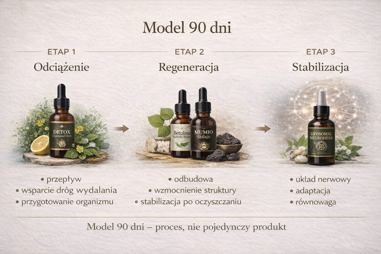 Model 90 dni – schemat procesu: Detox Liposomal Herb, Betulina, Mumio i Liposomal NeuroHerb jako trzy etapy wsparcia organizmu