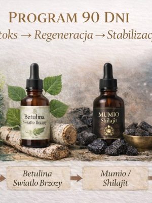 Program 90 dni – Kompleksowy proces: Detox, Betulina, Mumio, Liposomal NeuroHerb